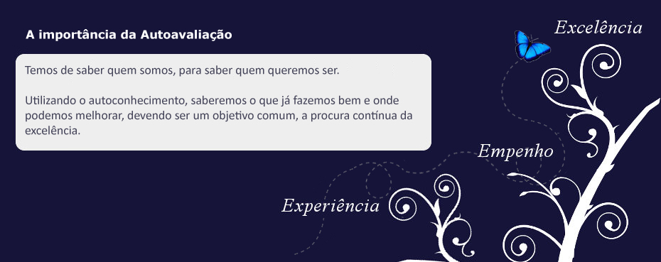 Destaque 1